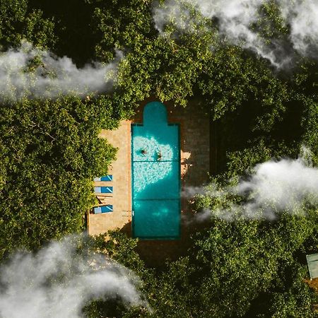 Selous Kinga Lodge Kwangwazi Zewnętrze zdjęcie