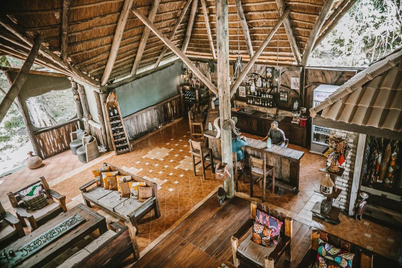 Selous Kinga Lodge Kwangwazi Zewnętrze zdjęcie