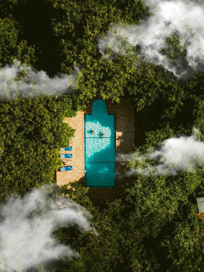 Selous Kinga Lodge Kwangwazi Zewnętrze zdjęcie