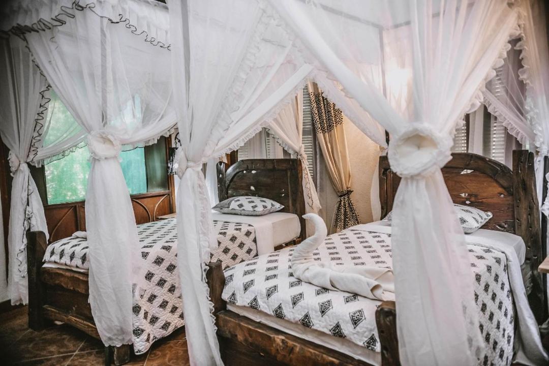 Selous Kinga Lodge Kwangwazi Zewnętrze zdjęcie