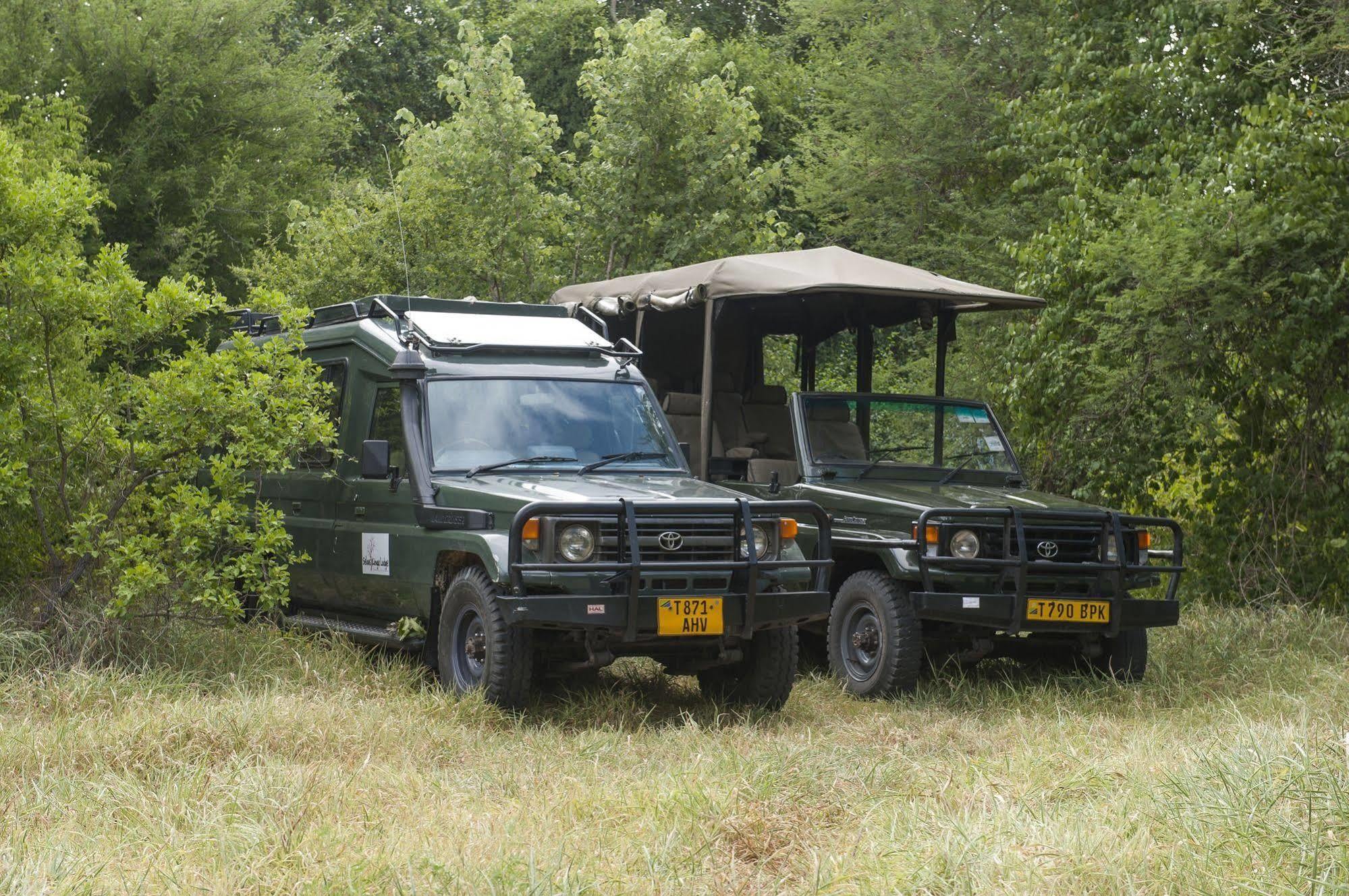 Selous Kinga Lodge Kwangwazi Zewnętrze zdjęcie