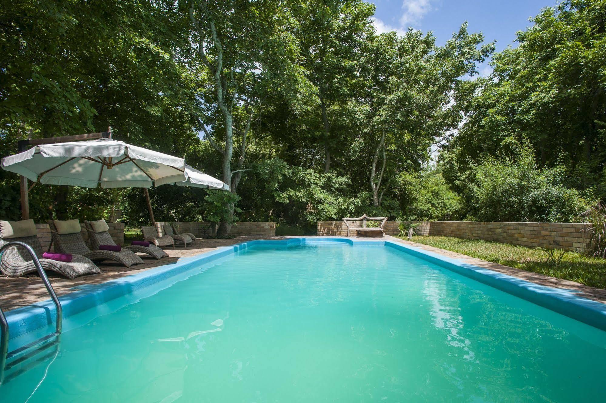 Selous Kinga Lodge Kwangwazi Zewnętrze zdjęcie