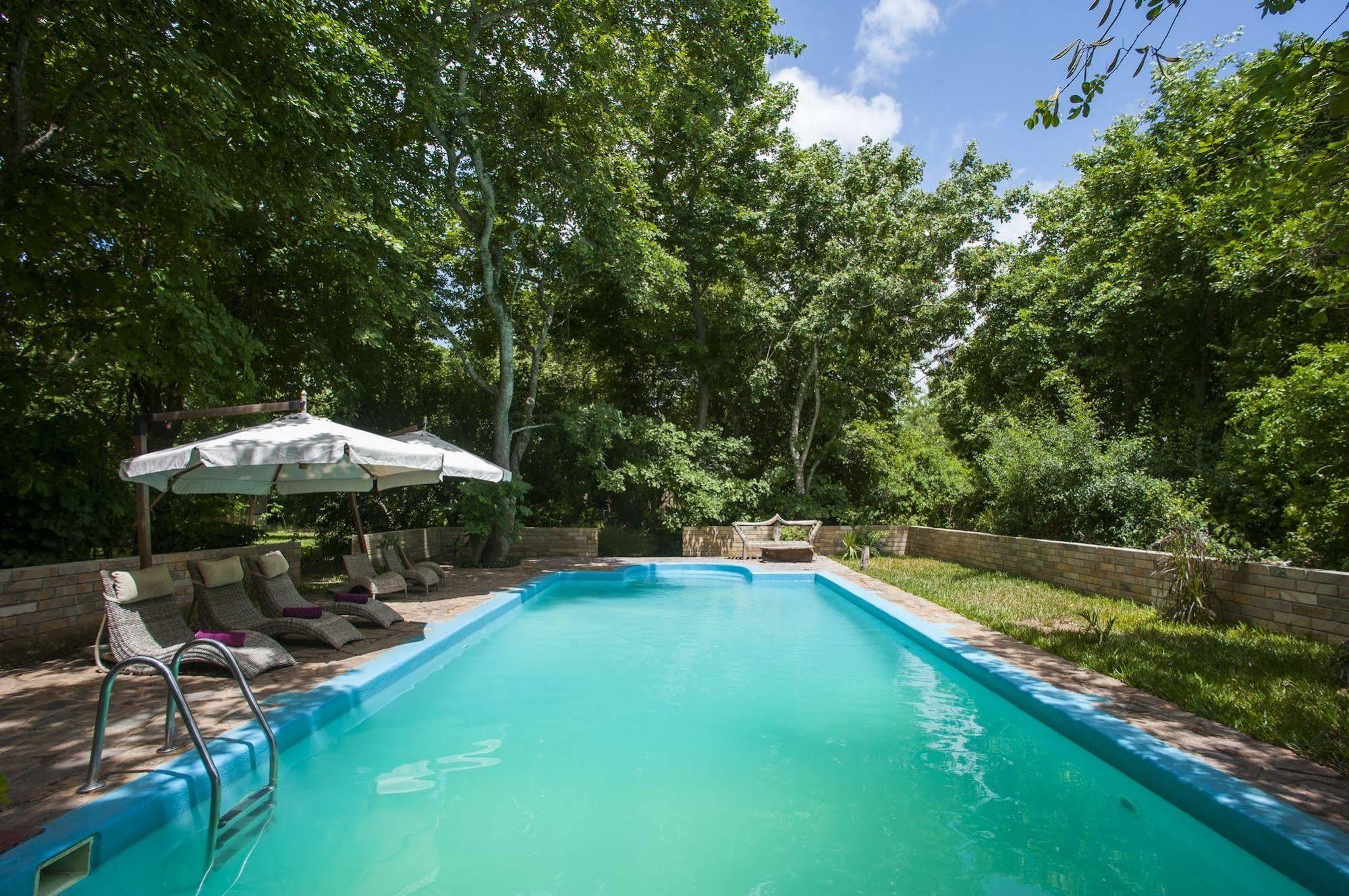 Selous Kinga Lodge Kwangwazi Zewnętrze zdjęcie