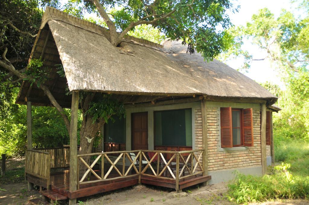 Selous Kinga Lodge Kwangwazi Pokój zdjęcie
